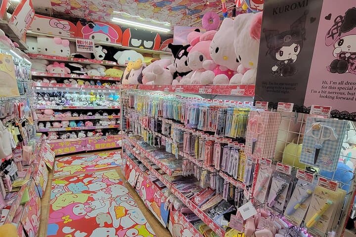 Akihabara Insider Tour with Professional Photos — photo 18