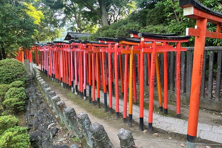 Tokyo: Traditional Backstreets Yanaka Walking Tour — photo 3