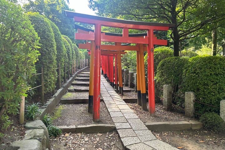 Tokyo: Traditional Backstreets Yanaka Walking Tour — photo 8