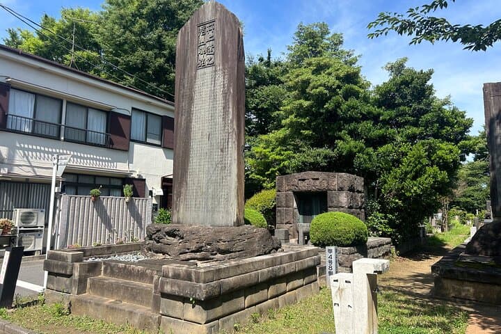 Tokyo: Traditional Backstreets Yanaka Walking Tour — photo 7