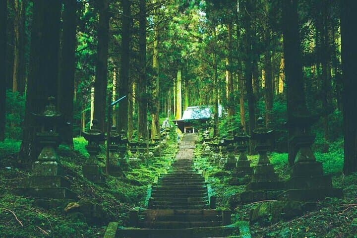 Takachiho Gorge, Shirakawa Suigen, Amanoiwato &Yasukawara Shrines — photo 6
