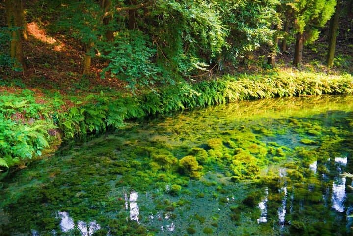 Takachiho Gorge, Shirakawa Suigen, Amanoiwato &Yasukawara Shrines — photo 11
