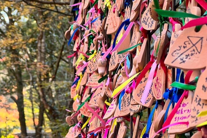 Takachiho Gorge, Shirakawa Suigen, Amanoiwato &Yasukawara Shrines — photo 14