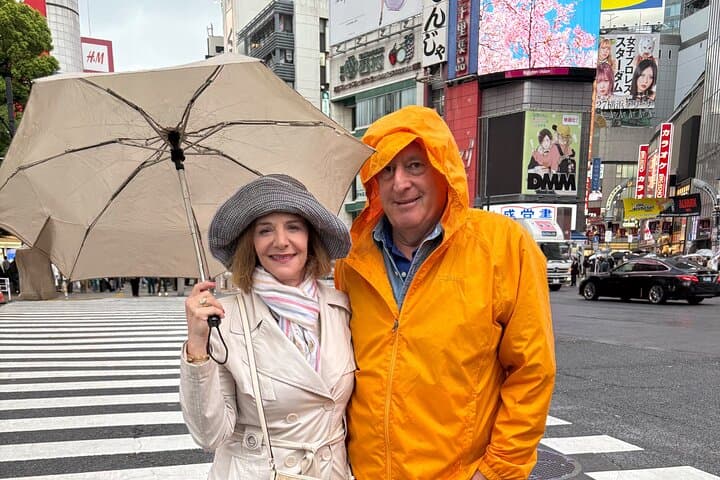 Tokyo Tailored for Families Private Tour with Personal Guide — photo 4