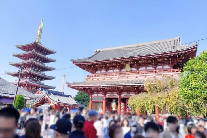 Explore Tokyo Highlights Layover Tour — photo 3