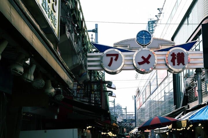 Explore Tokyo Highlights Layover Tour — photo 8