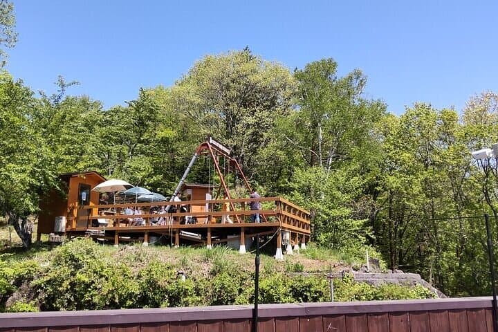 Lake Kawaguchi, Fuji Oishi Hana Terrace Guided Tour-Van — photo 2