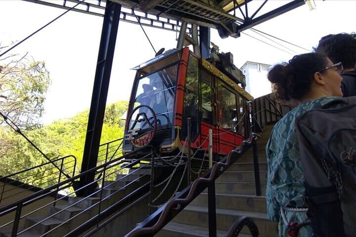 Lake Kawaguchi, Fuji Oishi Hana Terrace Guided Tour — photo 2