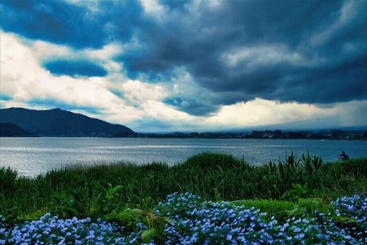 Lake Kawaguchi, Fuji Oishi Hana Terrace Guided Tour — photo 6