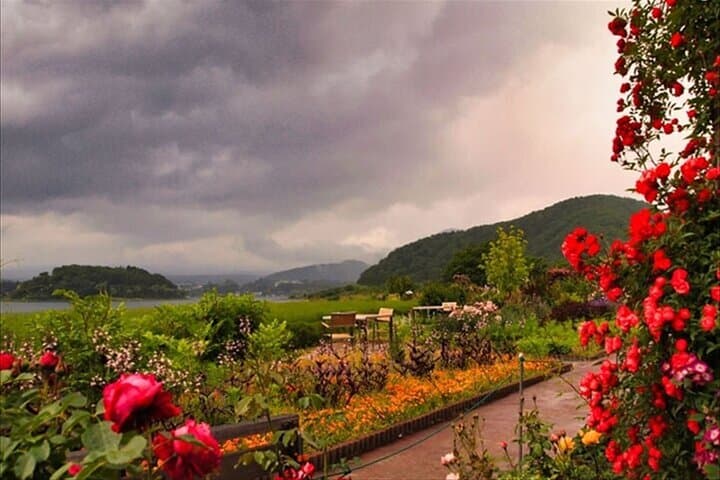 Lake Kawaguchi, Fuji Oishi Hana Terrace Guided Tour — photo 7