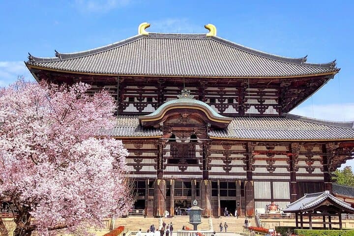 Osaka / Kyoto: Todai-ji, Nara Park, Fushimi Inari and Byodo-in — photo 1