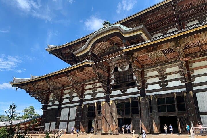 Osaka / Kyoto: Todai-ji, Nara Park, Fushimi Inari and Byodo-in — photo 3