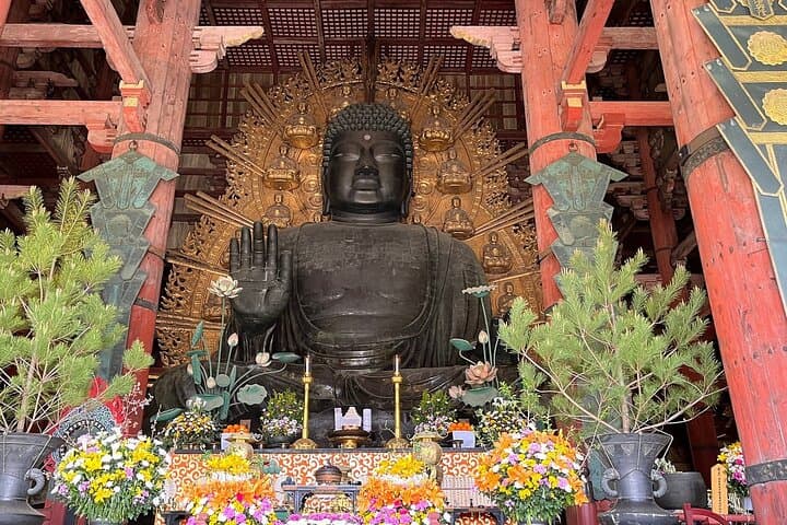 Osaka / Kyoto: Todai-ji, Nara Park, Fushimi Inari and Byodo-in — photo 4