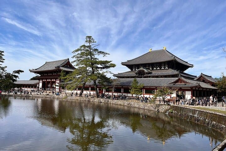 Osaka / Kyoto: Todai-ji, Nara Park, Fushimi Inari and Byodo-in — photo 8