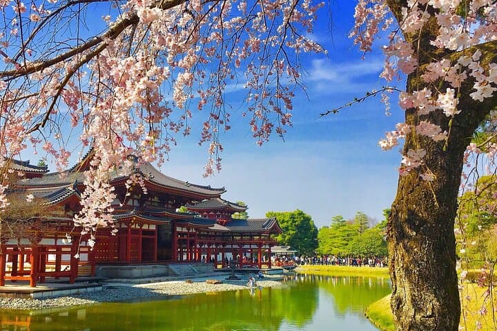 Osaka / Kyoto: Todai-ji, Nara Park, Fushimi Inari and Byodo-in — photo 15