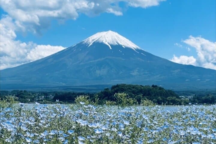 Lake Kawaguchi, Fuji Oishi Hana Terrace Guided Tour-Van — photo 5