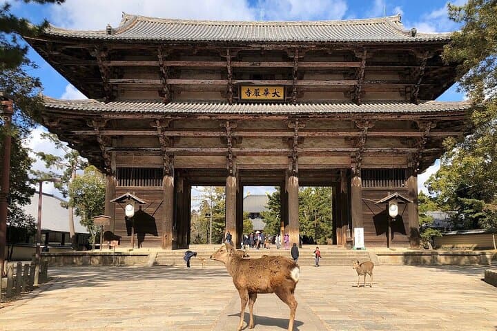 Osaka / Kyoto: Todai-ji, Nara Park, Fushimi Inari and Byodo-in — photo 7