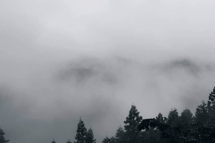Sacred Mount Yoshino Guided Tour – UNESCO Kii Mountain Range — photo 14
