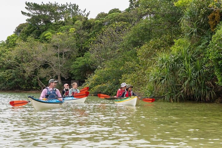 Okinawa: Kayak Mangroves & Ocean Native-English Private Tour — photo 20