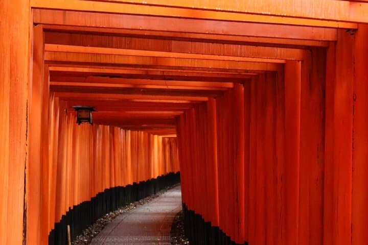 Kyoto Early Bird Tour in Uji and Fushimi Inari — photo 2