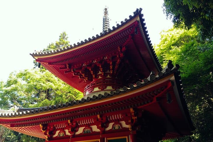Nara: Hozan-ji Temple Guided Tour with Cable Car Ride — photo 13