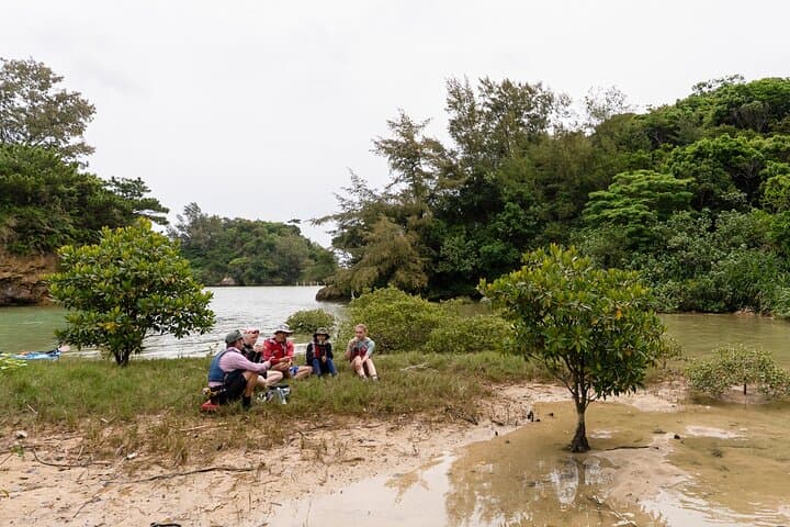 Okinawa: Kayak Mangroves & Ocean Native-English Private Tour — photo 12