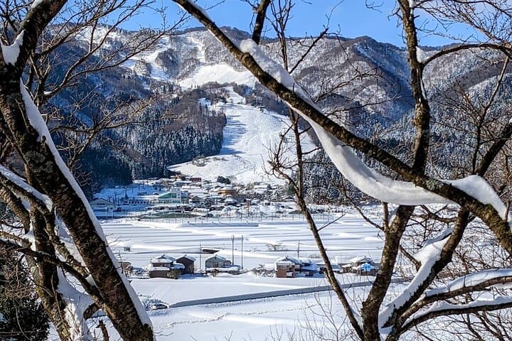 1Night and 2Days Trip to Kinosaki Onsen and Temple — photo 9