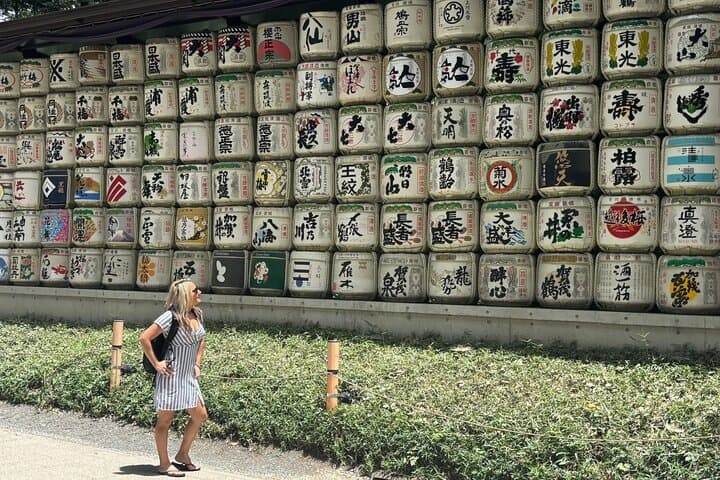 Tokyo Private Walking Tour Hidden Gems and Icons — photo 10