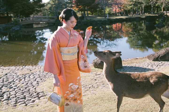 Traditional Kimono Experience in Historic Nara(with Hair Styling) — photo 7