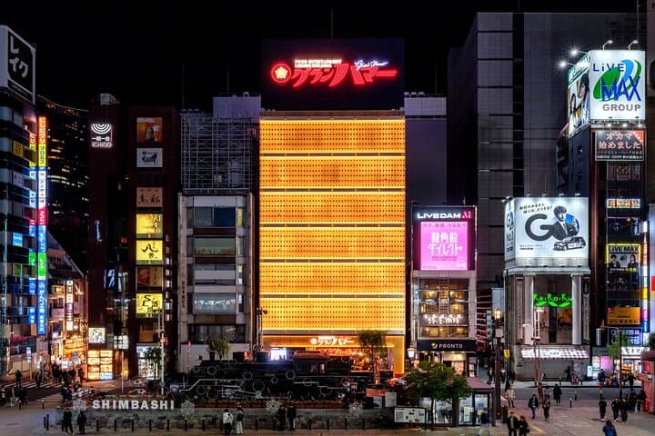 Tokyo 6hr Private Guided Tour and Geisha Performance & Dinner — photo 13
