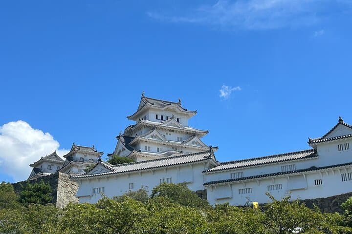 Himeji Castle Full Conquest Tour for Hardcore Castle Fans — photo 3