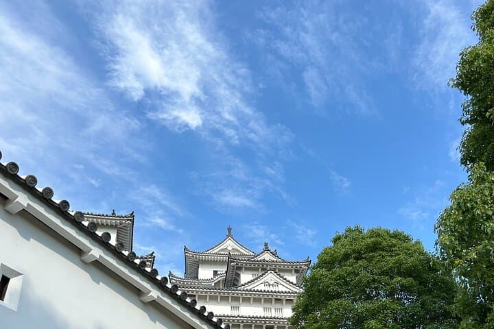 Himeji Castle Full Conquest Tour for Hardcore Castle Fans — photo 6