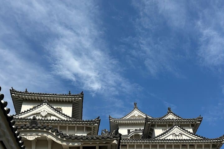 Himeji Castle Full Conquest Tour for Hardcore Castle Fans — photo 7