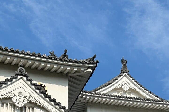 Himeji Castle Full Conquest Tour for Hardcore Castle Fans — photo 9