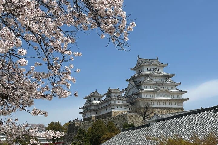 Himeji Castle Full Conquest Tour for Hardcore Castle Fans — photo 11
