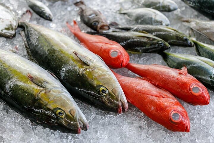 Local fresh fish shop premium backyard experience — photo 3