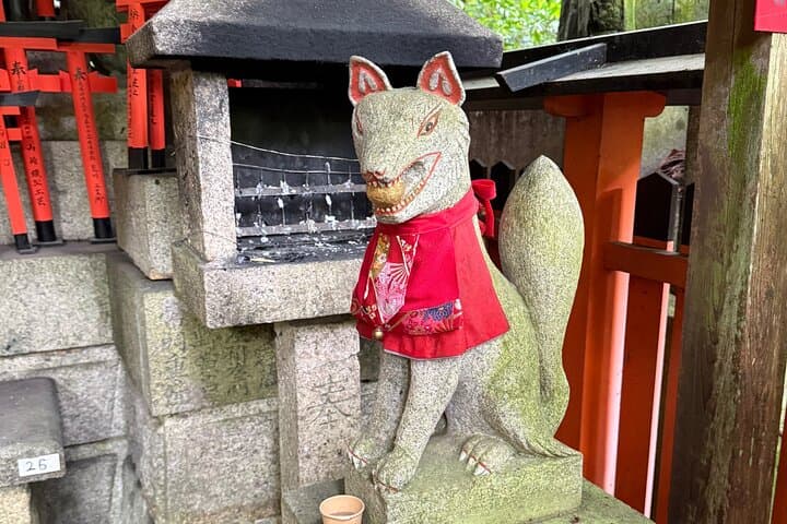 Private Kyoto Tour by Car with Optional Nara or Osaka Add-Ons — photo 13