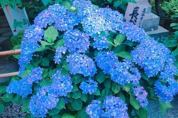 Tokyo Essentials Private Tour: Perfect for First-Time Visitors — photo 18