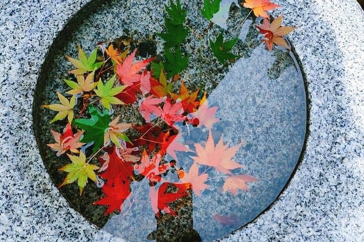 Tokyo Essentials Private Tour: Perfect for First-Time Visitors — photo 20
