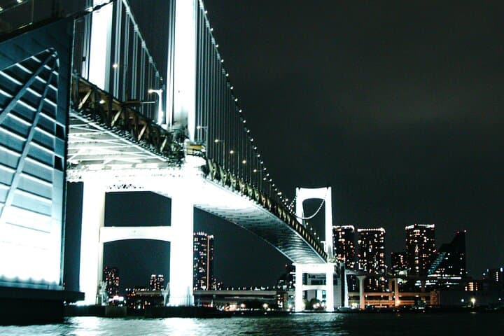Tokyo After Dark Scenic Night Tour — photo 3