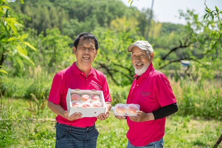 Nakatsu Orchard Fruit Tasting Tour — photo 2
