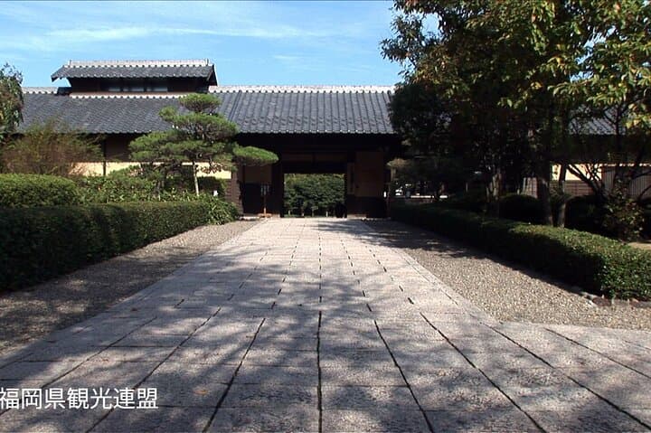 YokaBus Nanzoin Bronze Buddha, Itoshima Totoro Forest&Futamigaura — photo 9