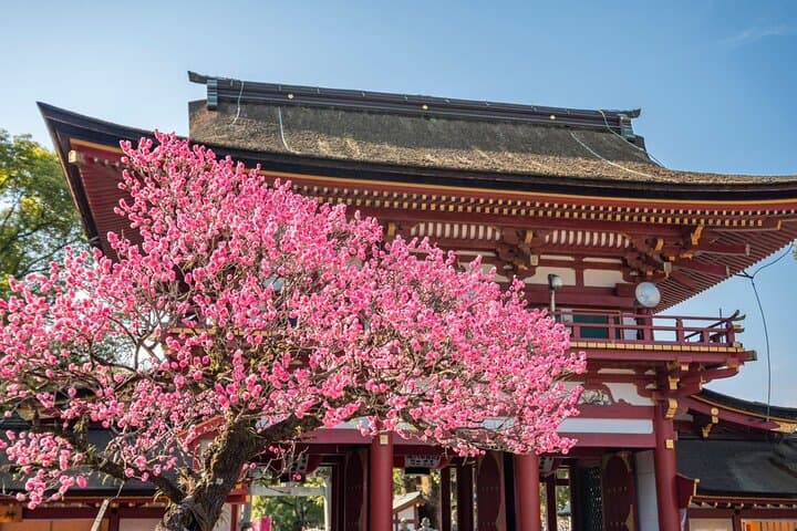 Fukuoka for First Timer: Food, Culture, Historic One Day Tour — photo 3