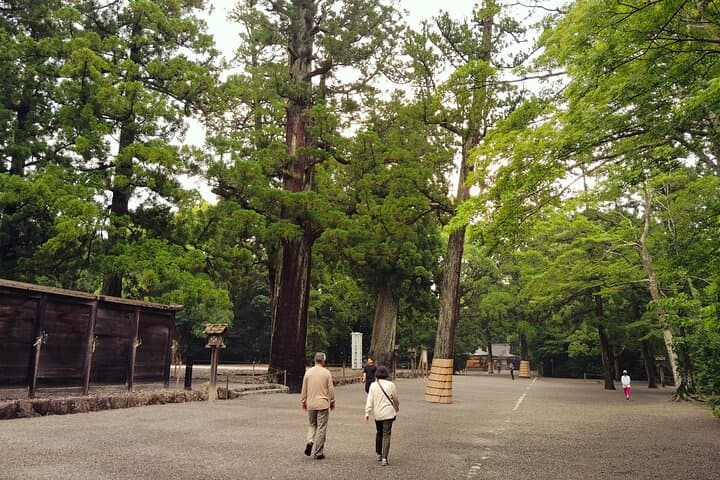 Ise: Full-Day Guided Tour of Shrines and Oharaimachi — photo 18
