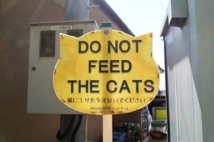 Ainoshima Cat Island Day Trip from Fukuoka — photo 4