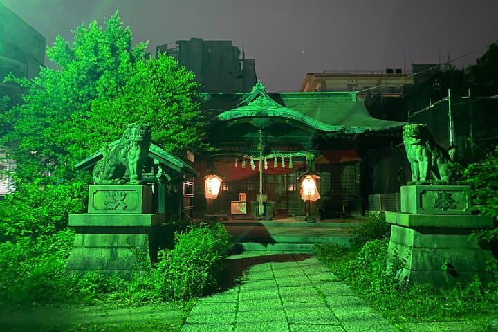 Shadows of Edo: Yoshiwara Courtesan District & Asakusa Backstreet — photo 16