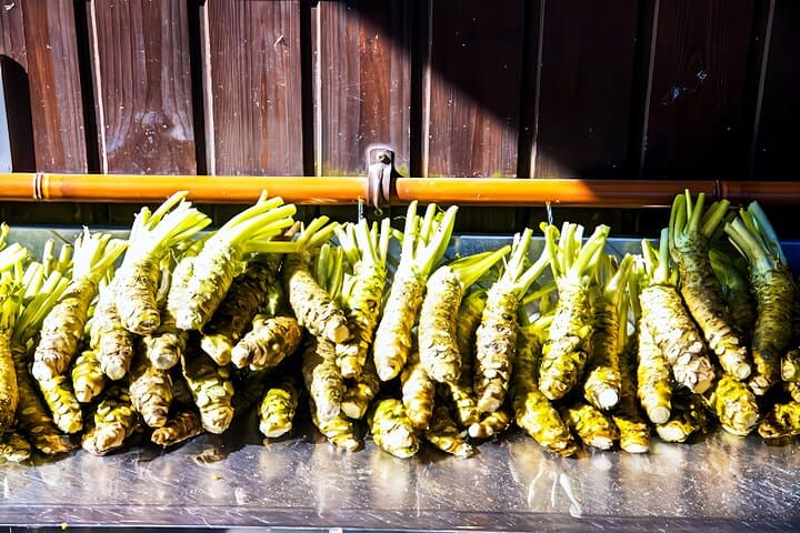 Matsumoto Everything Tour: Castle, Miso, Wasabi, Wine & Ukiyo-e — photo 2