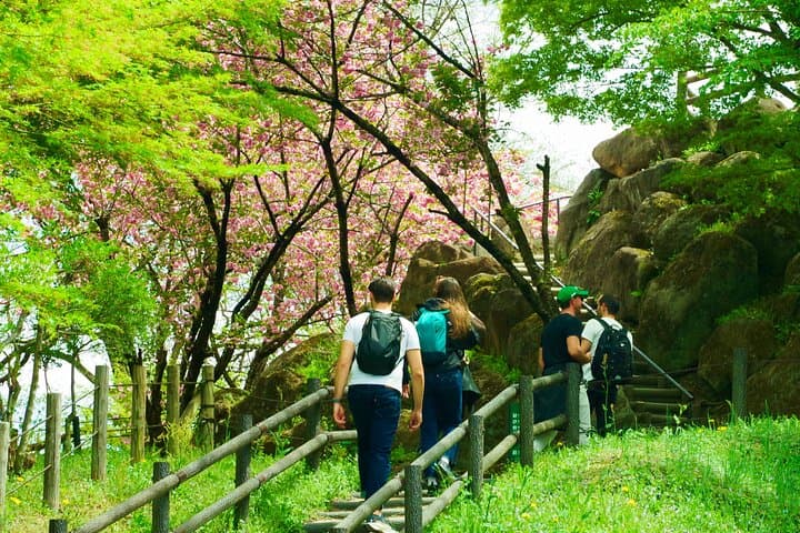 Matsumoto Everything Tour: Castle, Miso, Wasabi, Wine & Ukiyo-e — photo 17