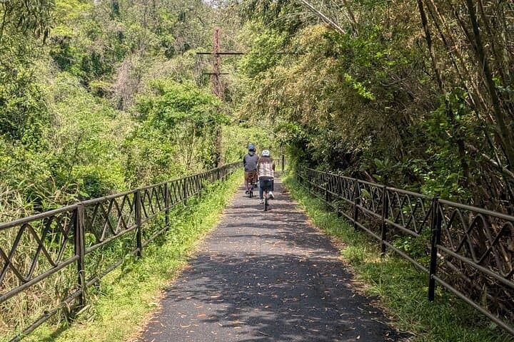 Seto Inland Sea Views & Kojima Denim: Private Cycling Tour — photo 8