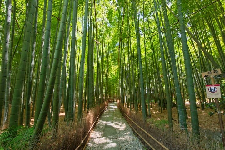 Kamakura Samurai Legends Shrines and the Great Buddha — photo 5